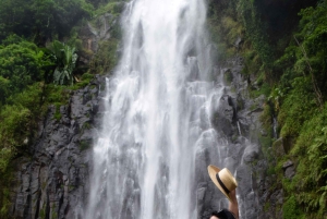 Materuni-waterval en/of Chemka-warmwaterbronnen en/of koffietour