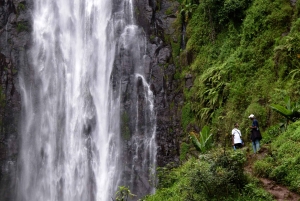 Materuni-waterval en/of Chemka-warmwaterbronnen en/of koffietour