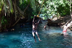 Materuni-waterval en/of Chemka-warmwaterbronnen en/of koffietour