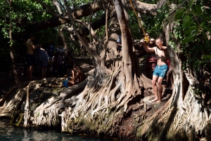 Materuni-waterval en/of Chemka-warmwaterbronnen en/of koffietour