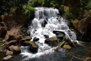 Materuni-waterval en/of Chemka-warmwaterbronnen en/of koffietour