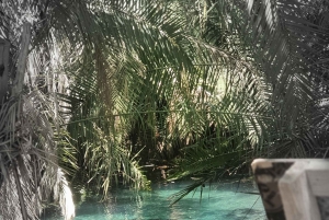 Materuni-waterval en/of Chemka-warmwaterbronnen en/of koffietour