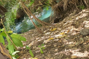 Materuni-waterval en/of Chemka-warmwaterbronnen en/of koffietour