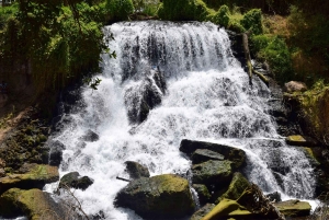 Materuni-waterval en/of Chemka-warmwaterbronnen en/of koffietour