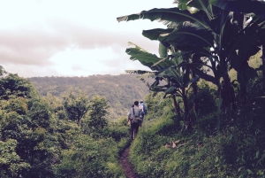 Materuni-waterval en/of Chemka-warmwaterbronnen en/of koffietour