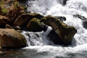 Materuni-waterval en/of Chemka-warmwaterbronnen en/of koffietour