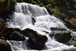 Materuni-waterval en/of Chemka-warmwaterbronnen en/of koffietour