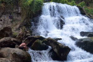 Materuni-waterval en/of Chemka-warmwaterbronnen en/of koffietour