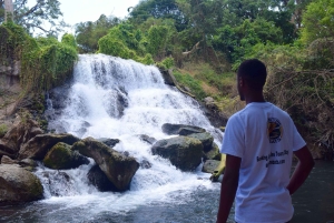 Materuni-waterval en/of Chemka-warmwaterbronnen en/of koffietour