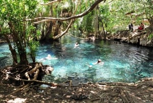 Excursion d'une journée aux chutes d'eau de Materuni et aux sources d'eau chaude de Chemka