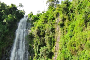 Excursion d'une journée aux chutes d'eau de Materuni et aux sources d'eau chaude de Chemka