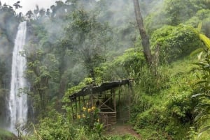 Excursion d'une journée aux chutes d'eau de Materuni et aux sources d'eau chaude de Chemka
