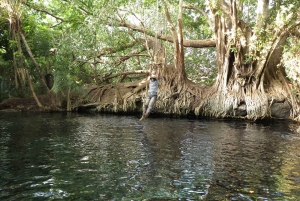 Excursion d'une journée aux chutes d'eau de Materuni et aux sources d'eau chaude de Chemka