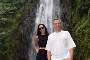 Materuni-vandfaldet og/eller Chemka Hot Springs og/eller kaffetur