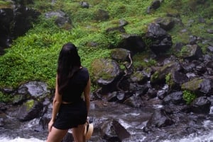 Materuni-vandfaldet og/eller Chemka Hot Springs og/eller kaffetur