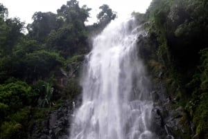 Materuni-vandfaldet og/eller Chemka Hot Springs og/eller kaffetur