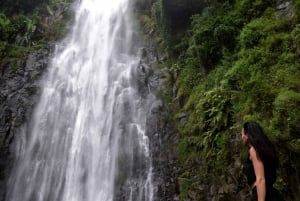 Materuni-vandfaldet og/eller Chemka Hot Springs og/eller kaffetur