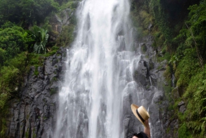 Materuni-vandfaldet og/eller Chemka Hot Springs og/eller kaffetur