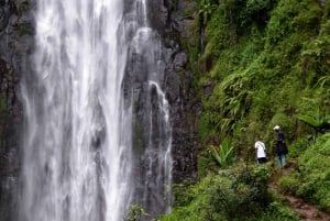 Materuni-vandfaldet og/eller Chemka Hot Springs og/eller kaffetur