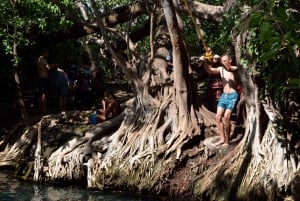 Materuni-vandfaldet og/eller Chemka Hot Springs og/eller kaffetur