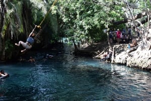 Materuni-vandfaldet og/eller Chemka Hot Springs og/eller kaffetur