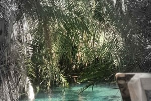 Materuni-vandfaldet og/eller Chemka Hot Springs og/eller kaffetur