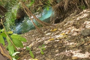 Materuni-vandfaldet og/eller Chemka Hot Springs og/eller kaffetur