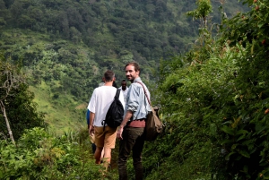 Materuni-vandfaldet og/eller Chemka Hot Springs og/eller kaffetur