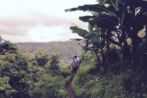 Materuni-vandfaldet og/eller Chemka Hot Springs og/eller kaffetur