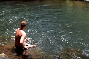 Materuni-vandfaldet og/eller Chemka Hot Springs og/eller kaffetur