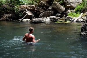 Materuni-vandfaldet og/eller Chemka Hot Springs og/eller kaffetur