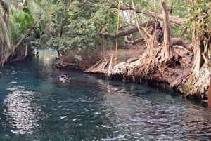 Materuni-vandfaldet og/eller Chemka Hot Springs og/eller kaffetur