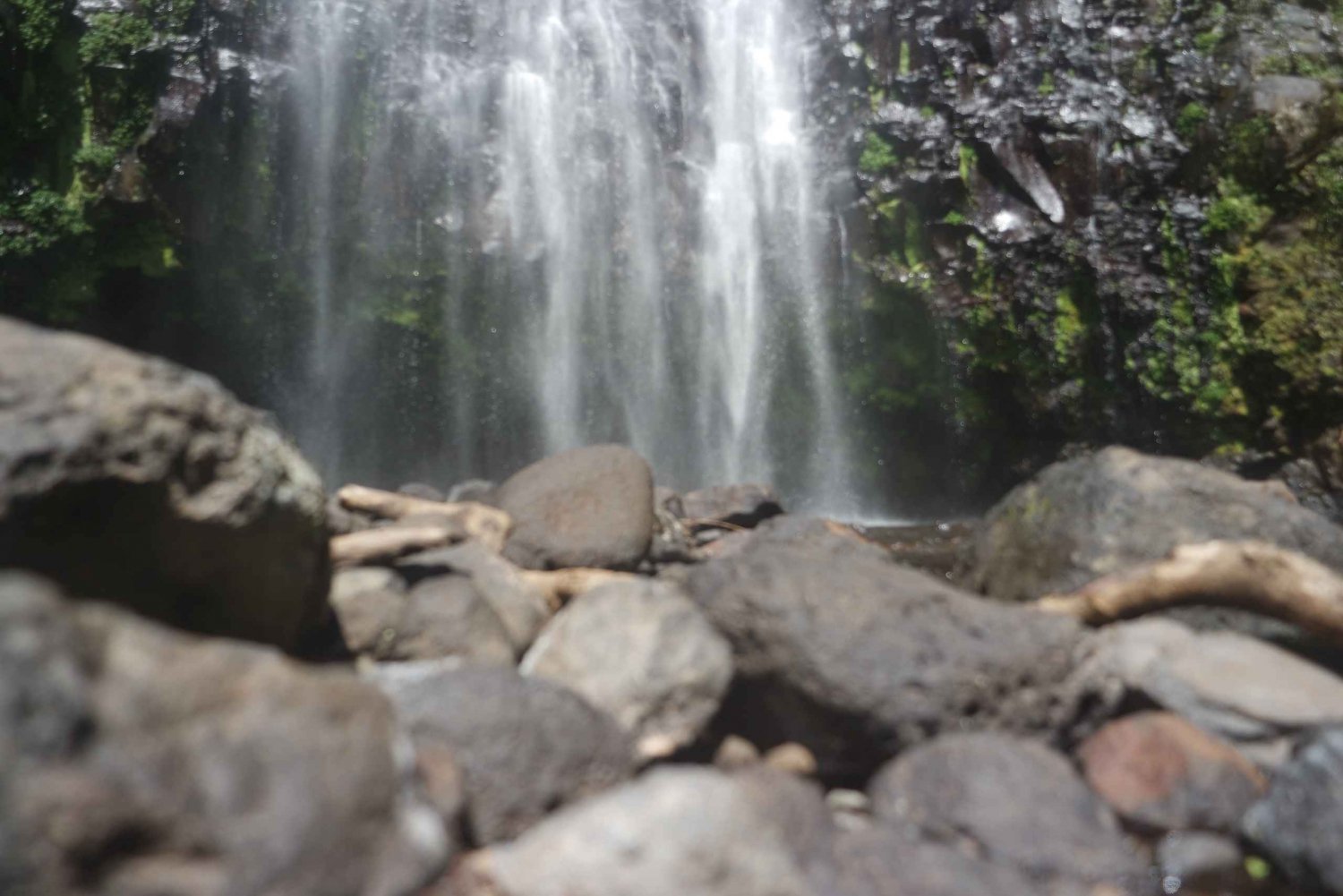 From Moshi: Materuni Waterfalls and Coffee Farm Day Tour