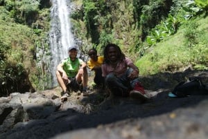 From Moshi: Materuni Waterfalls and Coffee Farm Day Tour