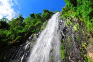 Excursão de um dia às cachoeiras, café e fontes termais de Materuni