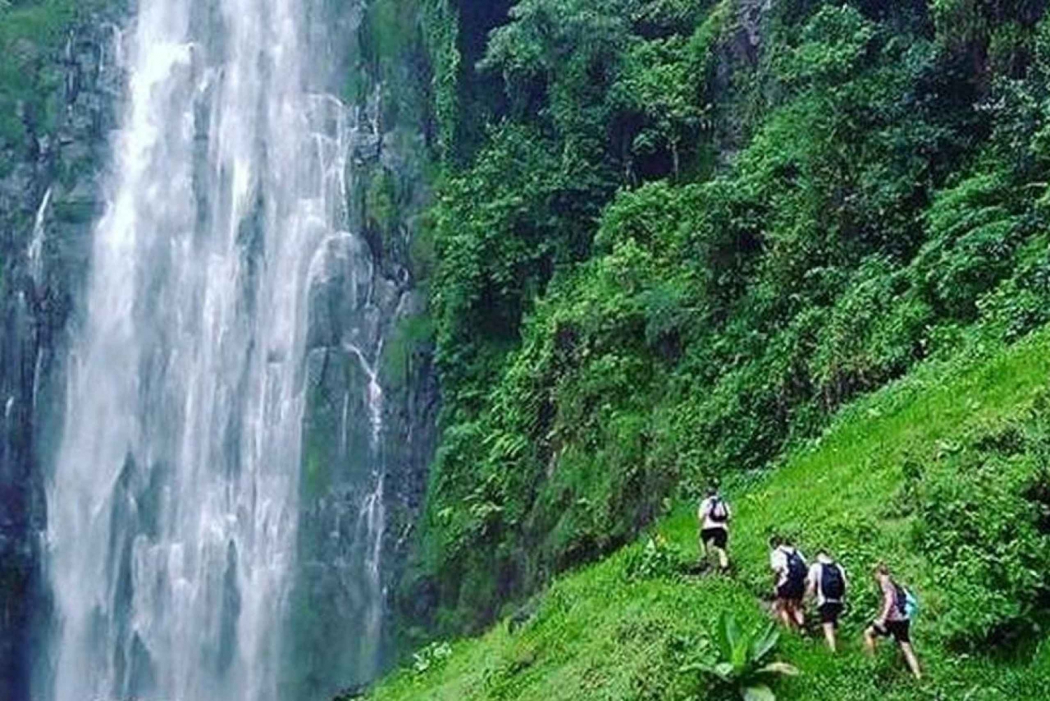 Materuni waterfalls Day Trip