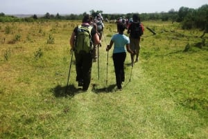 Excursión de 1 día al monte Meru: cultura, naturaleza, café, cocina y cascadas