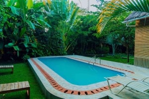 Mikumi en Nyerere National Parks 4-daagse safari