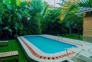 Mikumi and Nyerere National Parks 4-Day Safari