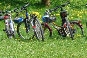 Mikumi: Fatbike-utleie og tur til sukkerrørfarm