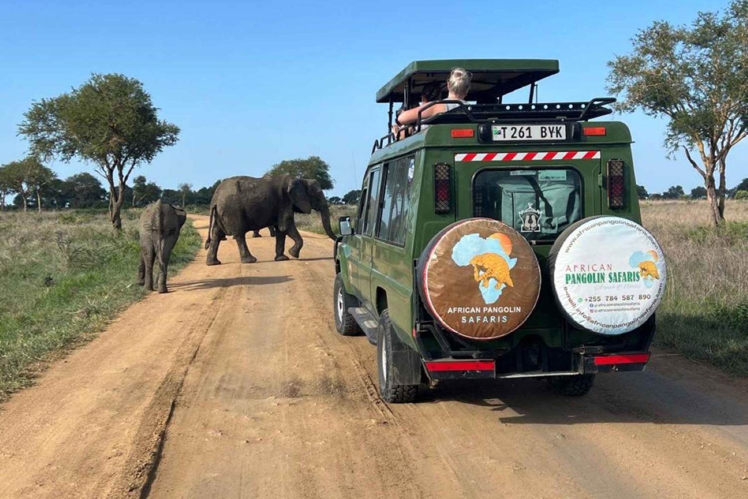 Mikumi & Ruaha NP: 5-Day Safari from Dar es Salaam
