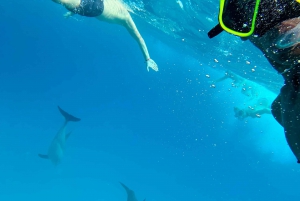 Mnemba: African Maldives Day Tour with Lunch