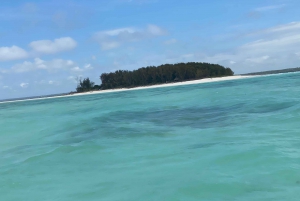 Mnemba: African Maldives Day Tour with Lunch
