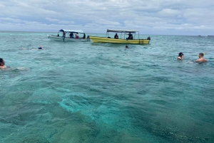 Mnemba: African Maldives Day Tour with Lunch