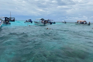 Mnemba: African Maldives Day Tour with Lunch