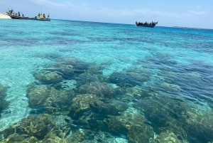 Mnemba: African Maldives Day Tour with Lunch