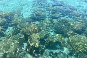 Mnemba: African Maldives Day Tour with Lunch