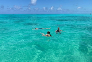 Mnemba: African Maldives Day Tour with Lunch