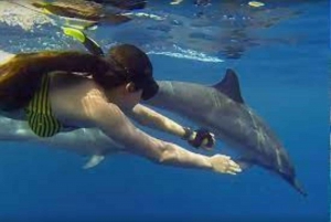 Mnemba atoll, dolphin & snorkelling tour