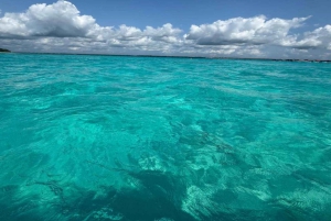 Atol de Mnemba: passeio com golfinhos e mergulho com snorkel